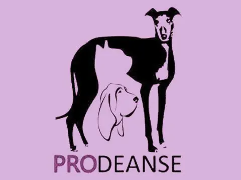 Prodeanse logo 1
