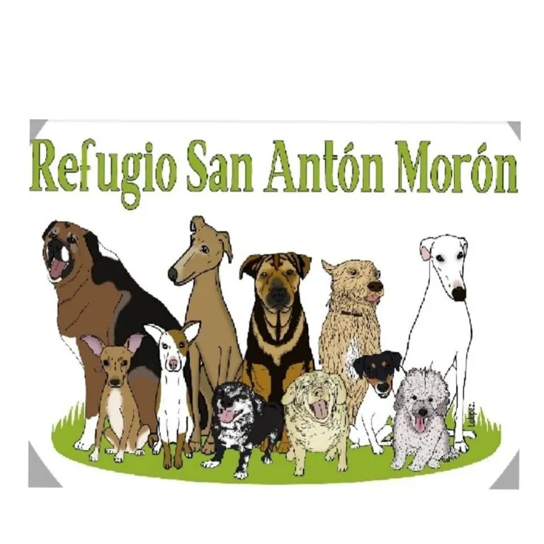 RefugioSanAnton logo 1 768x768