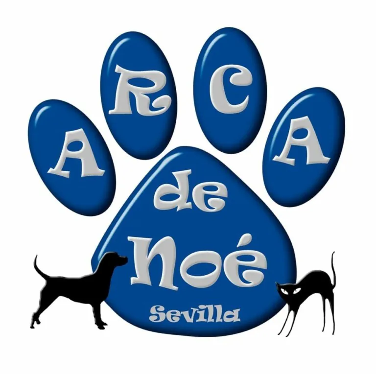 logo arcadenoe2 768x764