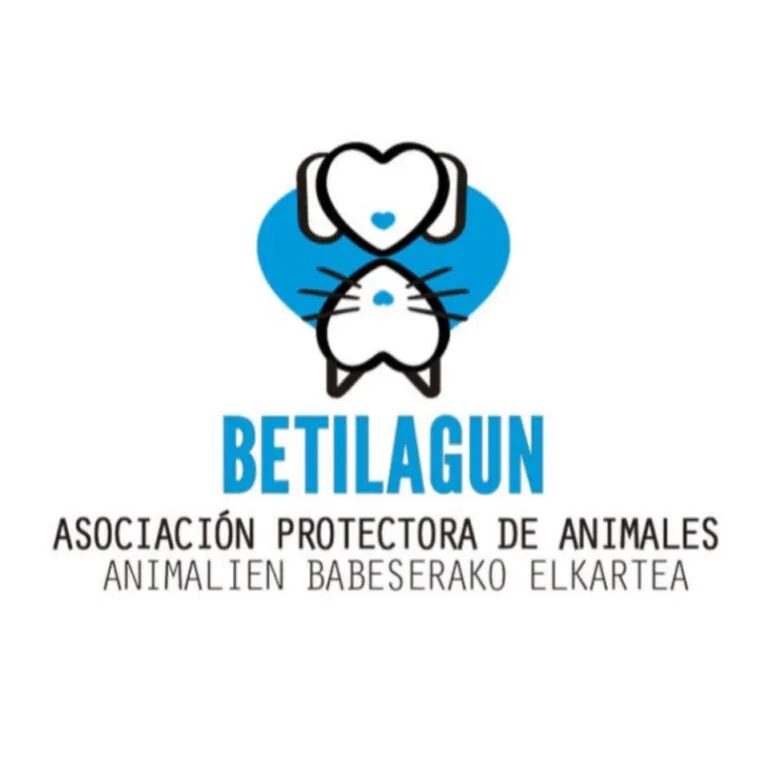 Betilagun logo 1 768x768