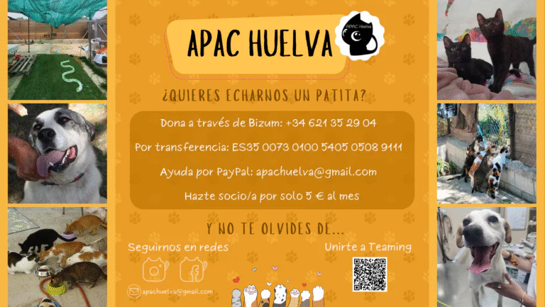 APAC 1 768x433