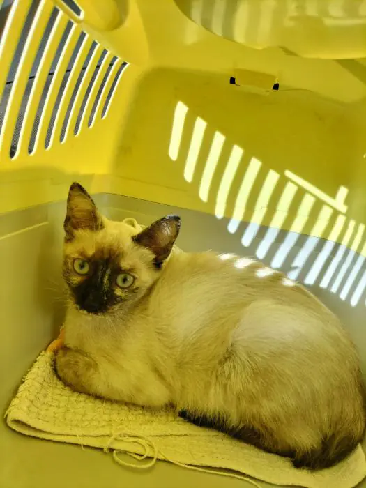 AsociacionNaturalia 1