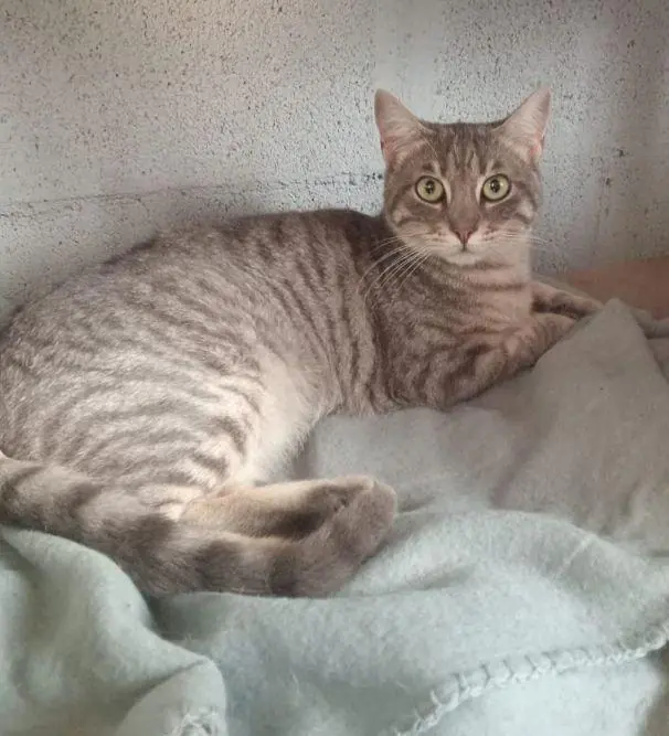 AsociacionNaturalia 2