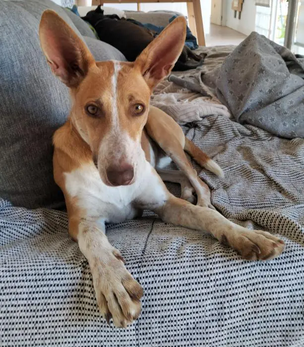 AsociacionNaturalia 3