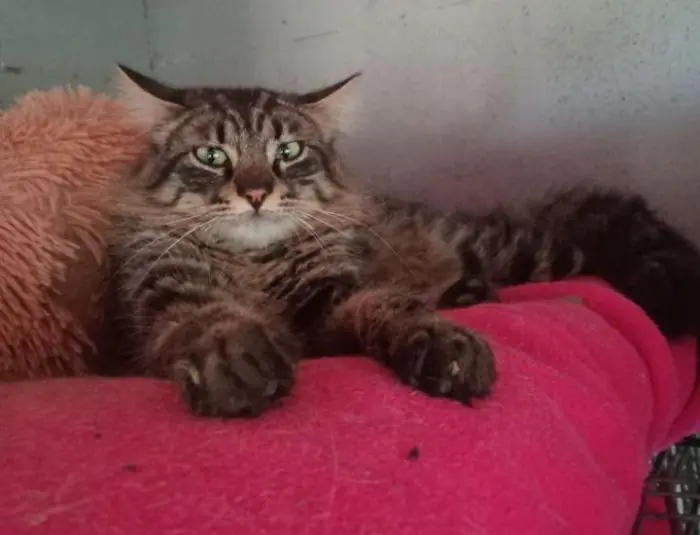 AsociacionNaturalia 4