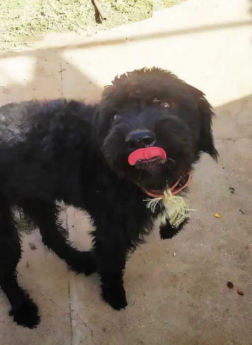 AsociacionNaturalia 5