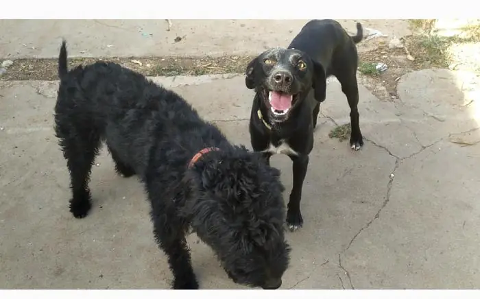 AsociacionNaturalia 6