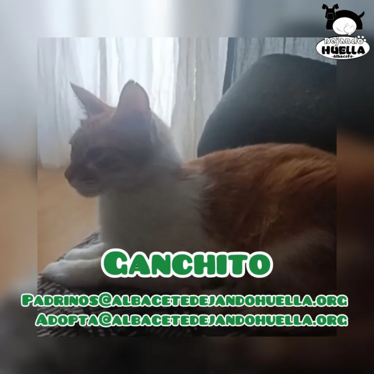 Dejando Huellas 3 768x768