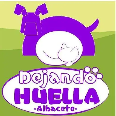 Dejando Huellas logo 1