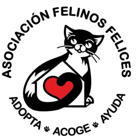 FelinosFelices logo 1