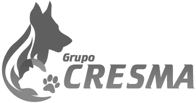 tanatorio de animales comunidad valenciana